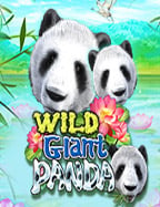 วิ บอล สดพนัน ออนไลน์: ทดลองเล่นได้ทุกที่ทุกเวลา